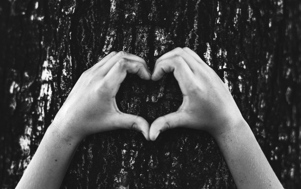 Little Boy Making A Heart Shape On A Tree Feig Financial